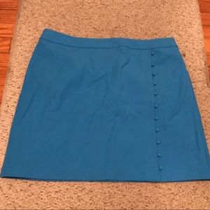 Ann Taylor Loft Skirt